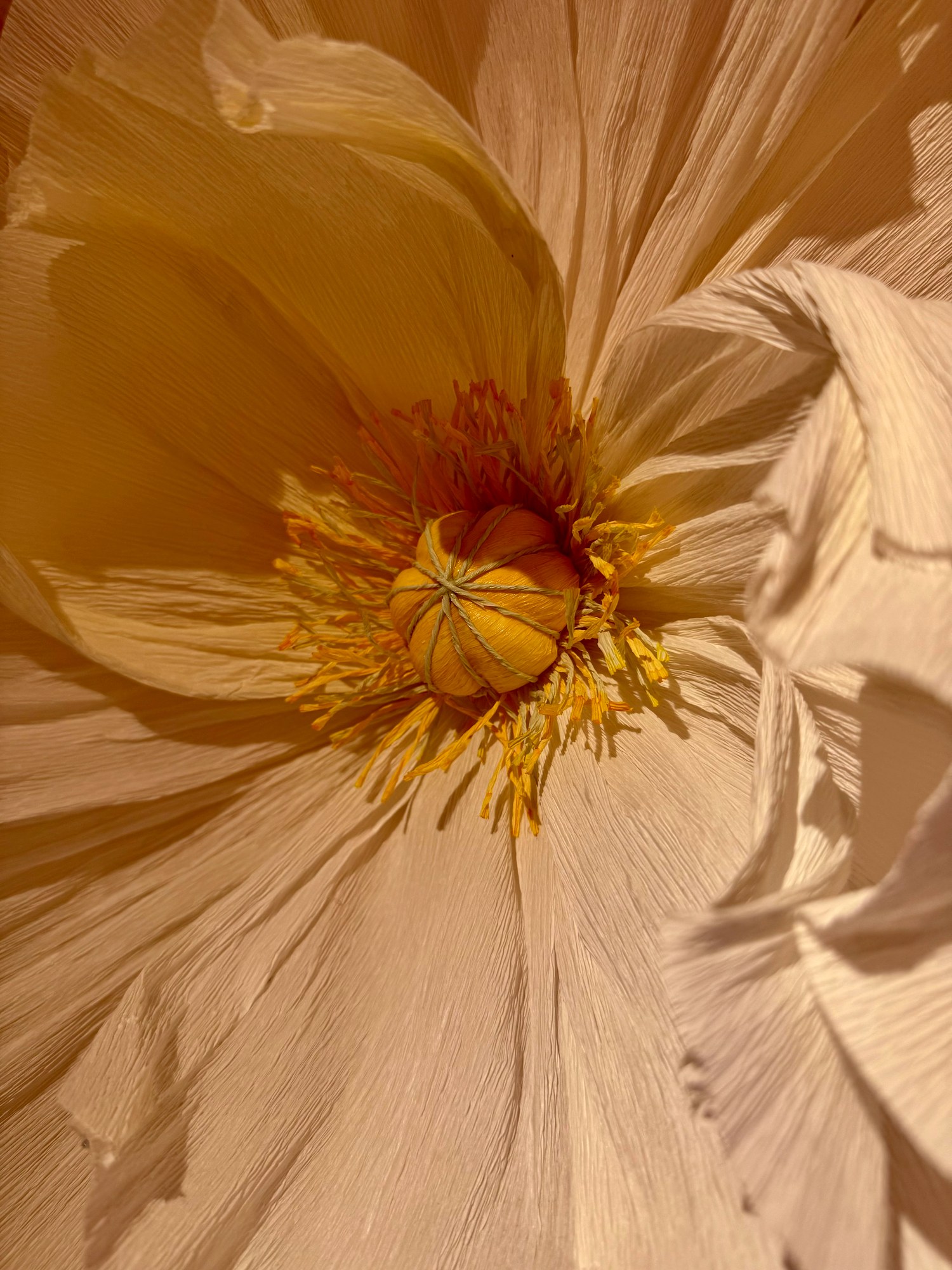 A giant paper flower in cream and yellow, petal by petal