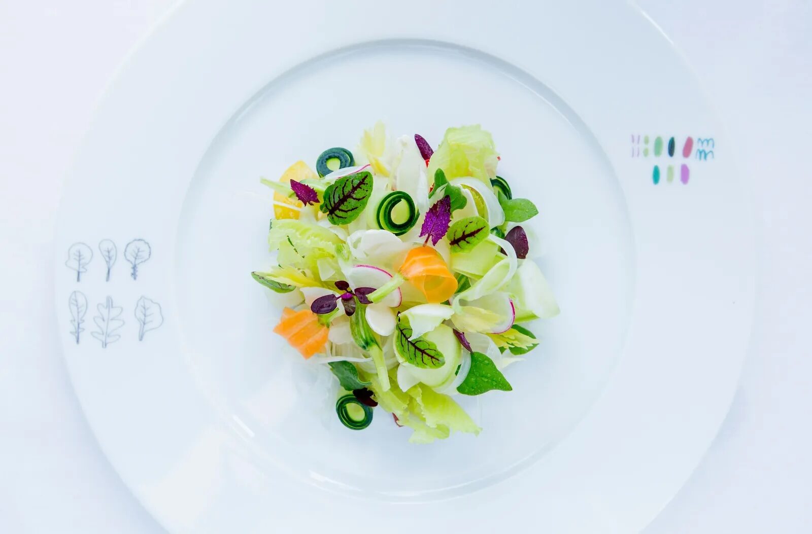A plated garden-vegetable dish on white porcelain at a grand Monte Carlo restaurant