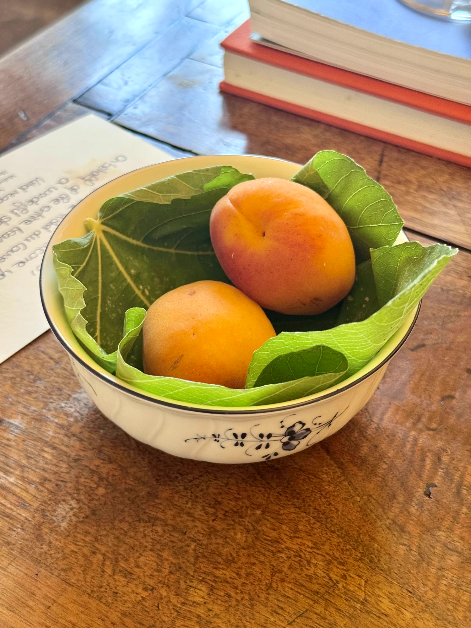 Three apricots in a bowl, Hôtel du Couvent