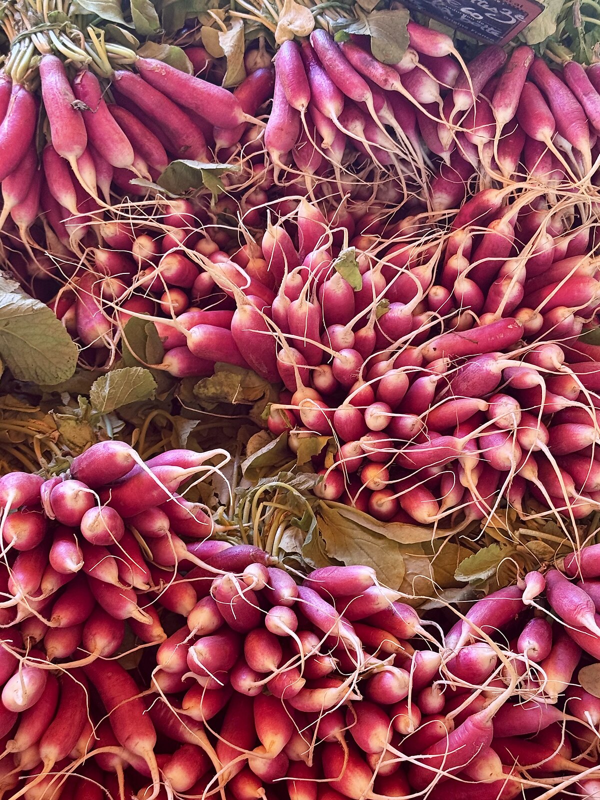 Radishes at the market